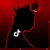 steroeditor.r1