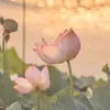 .da.hu09