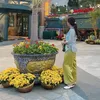 yinq1990