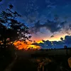 tttl_23112002