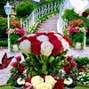 user98572836622084