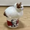 s_an_o123