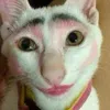 blinhngq_qq