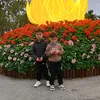 nghohd1900