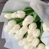 salmasalma44855