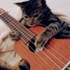 yoel.oliver65