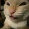 cheeselogan