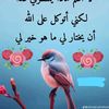user5810687669141