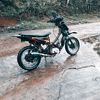 setarking2