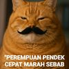 masayu0987