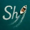 sh____d17