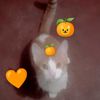michi.naranja24