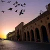 erbil736