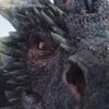 _dracarys.ofdragonz_