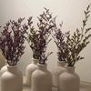 maryam.alshidi8