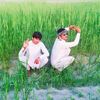 gul.muhammad.khan207