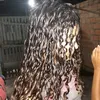 glenda_sntsx