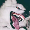 cabrrrr