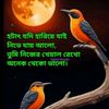 mamunhossan172