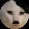 usermrl3zeqss9