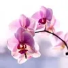 user26911607074691