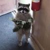 mr_taylorsversion