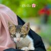 loulou89450