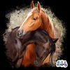 cardona.cardona.j
