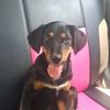toby.hermandez