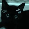 monster_batz