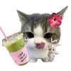 _prettiest.matcha