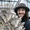 gob_the_mushroom_king