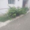 mdmainulislam8125