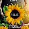 sandragarciaherna29