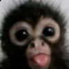 user108141