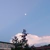 sneu_00