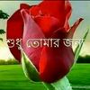 masood..68