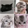 hello_42.0