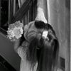 catlove273