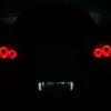 wwwpankxx8i