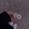 alisharajput7868