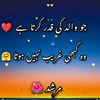 m.irfan3823