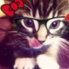 fans_asmara_gen_z09