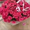 fofe_002