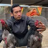 Dương Việt Trì3