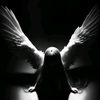 user2714621015103