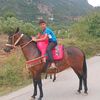rami.bazi3