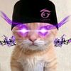 denzzgood01