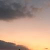 joldosh_12