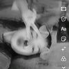 edy.pasetio2